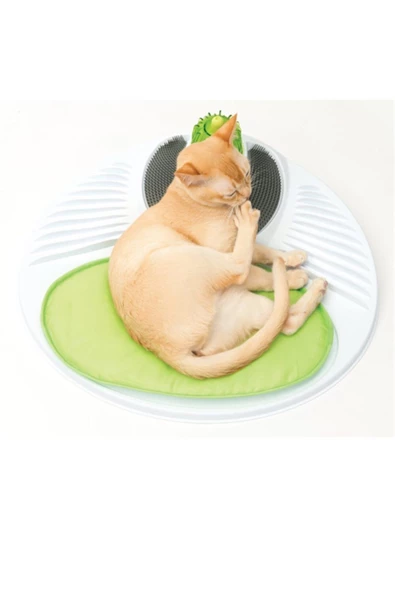 Catit Senses 2.0 Wellness Center Kedi Oyuncağı - 4