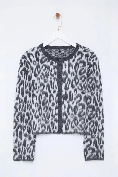 Stil Modern Kadın Regular Standart Kol Bisiklet Yaka Leopar Desenli Triko Hırka - 3