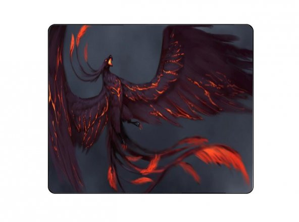 Concord Mp-305  Desenli Mouse Pad 250 x 300 x 3 mm - 1