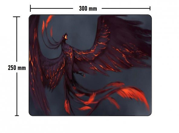 Concord Mp-305  Desenli Mouse Pad 250 x 300 x 3 mm - 2