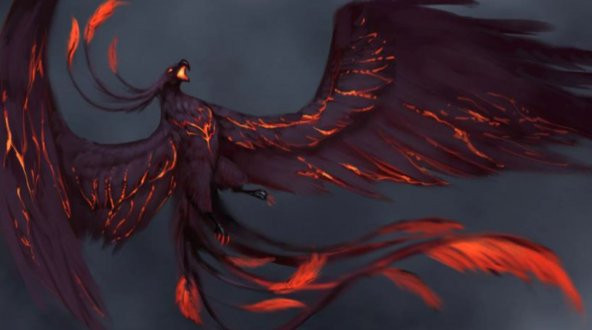 Concord Mp-305  Desenli Mouse Pad 250 x 300 x 3 mm - 3