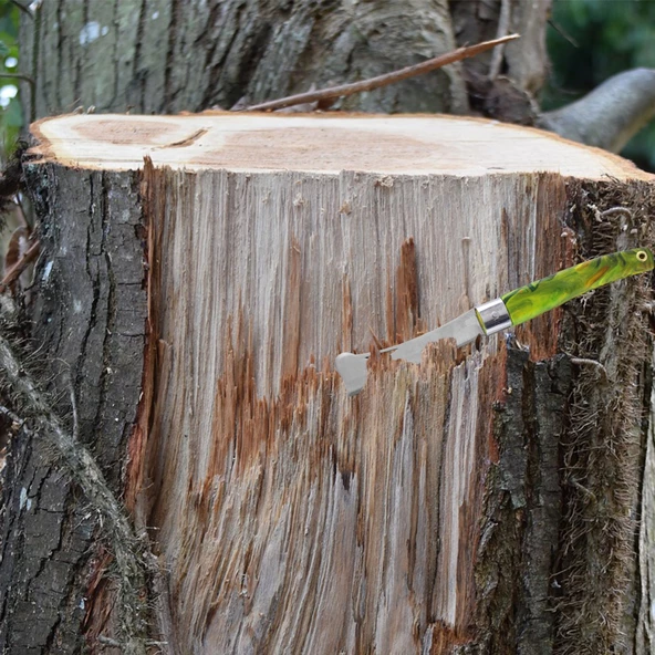 1 Adet Plastik Saplı Bıçak Çakı Soğuk Aşı Macunu Profesyonel Çelik Tepeli Uç Bağ Ağaç Budama Bıçağı - 4