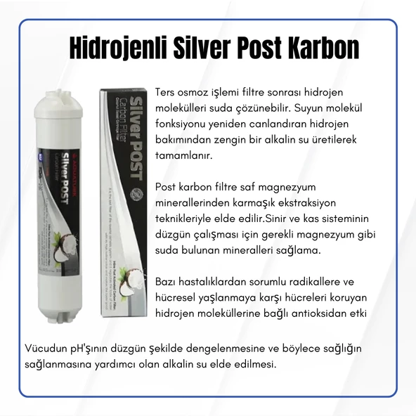 Gümüş İyonlu Silver Coconatlı Nano Antibakteriyal Post Carbon Filtre (Nsf Onaylı) - Resim 2