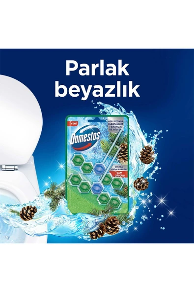 Domestos Wc Blok 5'li Güç Çam Ferahlığı Maksimum Hijyen 3 x 100 gr - 3