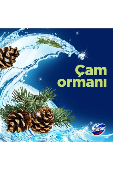Domestos Wc Blok 5'li Güç Çam Ferahlığı Maksimum Hijyen 3 x 100 gr - 4