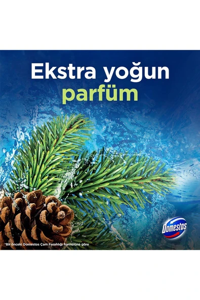 Domestos Wc Blok 5'li Güç Çam Ferahlığı Maksimum Hijyen 3 x 100 gr - 6