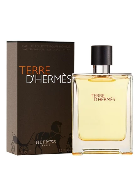 Hermes Terre D'Hermes EDT 100 Ml Erkek Parfüm - 2