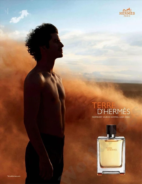 Hermes Terre D'Hermes EDT 100 Ml Erkek Parfüm - 3