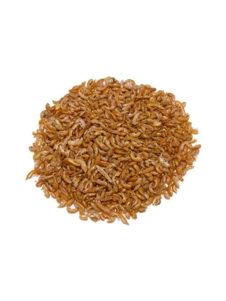 NetX Gammarus 50 Gr Kaplumbağa ve Balık Yemi  Skt:11/2027