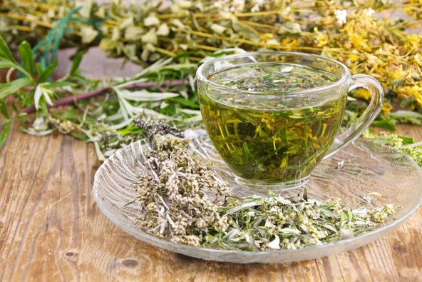 PELİN OTU 1 KG TAZE KATKISIZ MAHSÜL