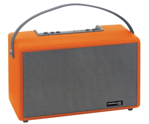 Güçlü Kablosuz 2*50W Bluetooth Taşınabilir Parti Karaoke Hoparlörü - Model F32 - 10