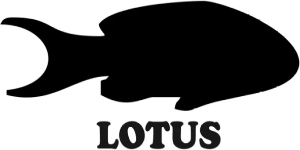 Lotus Balığı Sticker 36 x 18 cm