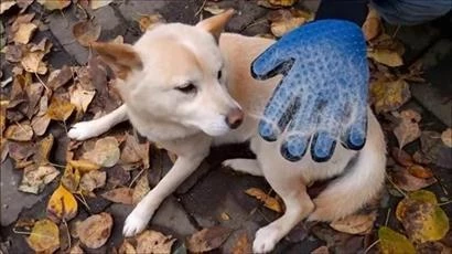 Tüy Toplayan Kedi Temizleme Eldiveni Tüy Toplama Eldiveni - 11