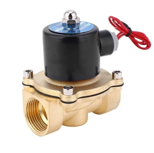 2W-250-25 DC 24V Elektromanyetik Valf - Solenoid Valf - 1