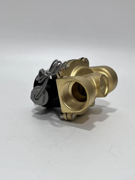 2W-250-25 DC 24V Elektromanyetik Valf - Solenoid Valf - 4