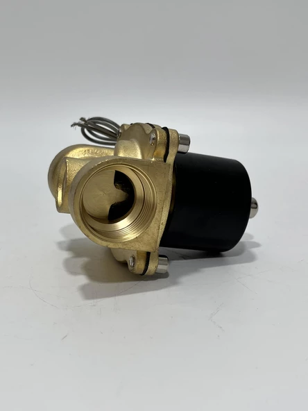 2W-250-25 DC 24V Elektromanyetik Valf - Solenoid Valf - 5