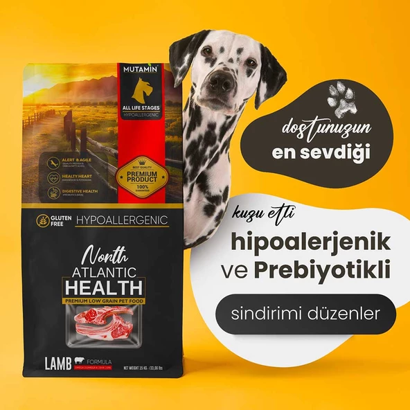 Kampanya !North Atlantic Health Kuzu Etli Köpek Maması 15 kg + Somon Yağı 150mL Hediye ! - Resim 2