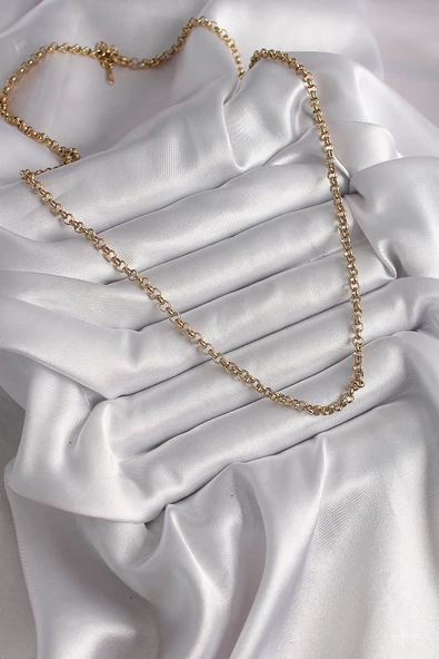 316L Çelik Gold Renk Kadın Kolye - TJ-BKO9665 - Resim 2