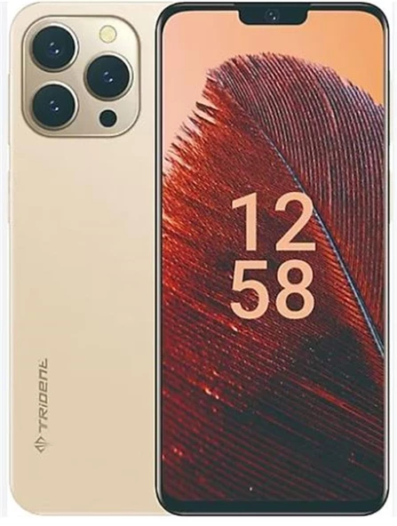 Trident A55 128GB Hafıza 6GB Ram 6,52" Gold Cep Telefonu