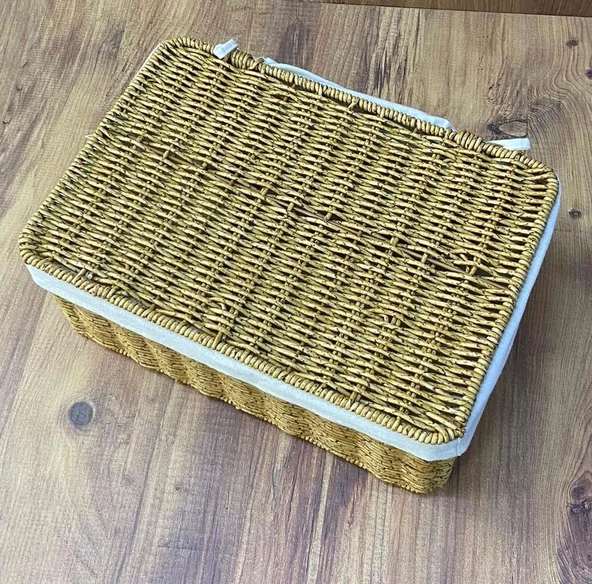 Rattan Örme Kapaklı Kutu Orta Boy Çok Amaçlı Kapaklı Sepet - Resim 2