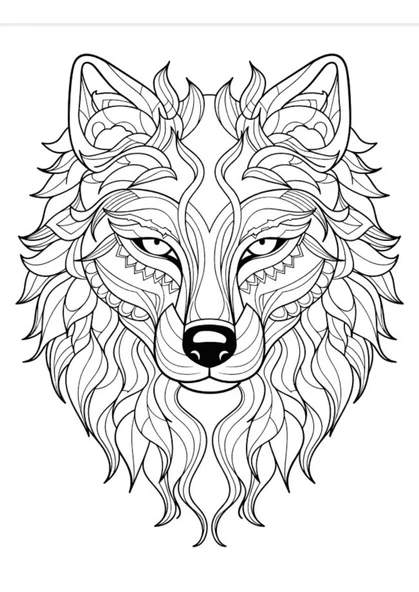 Kurt MANDALA Boyama Kitap Seti (2 Kitap) - 4