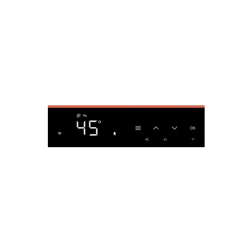 VİESSMANN VİTODENS CONNECT 19 KW YOĞUŞMALI KOMBİ - 2