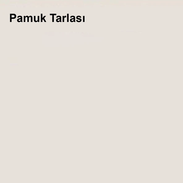 Marshall Sil-Pak Pamuk Tarlası 15lt (20 Kg) - 2
