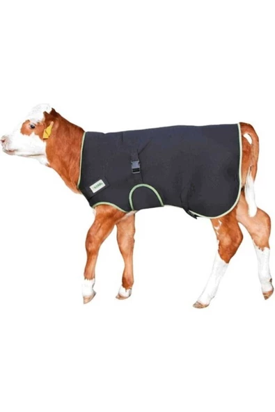 Modern Buzağı Battaniyesi Premium 80 Cm