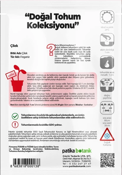 100 Adet Sarmaşık Çilek Tohumu - 3