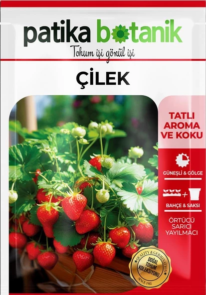 100 Adet Sarmaşık Çilek Tohumu - 2