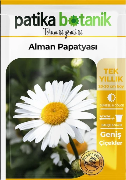 100 Adet Alman Papatya Tohumu - 2