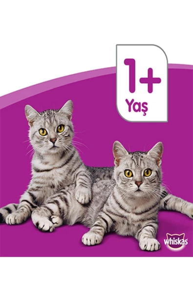 Tastymix Kuzulu & Hindili Yetişkin Kedi Yaş Maması 28x85 gr