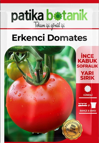 200 Adet Erkenci Domates Tohumu (Oturak) - Resim 2