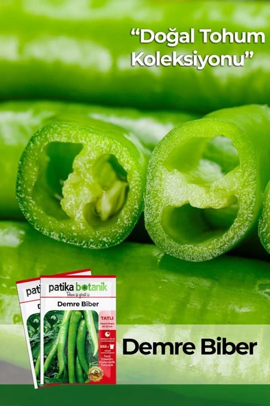 200 Adet Etli Demre (Sivri) Biber Tohumu - Resim 2