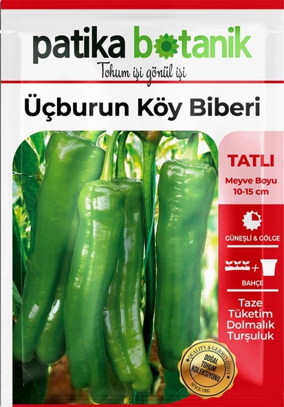 200 Adet Üç Burun Köy Biber Tohumu (Tatlı, Mazamort) - Resim 2