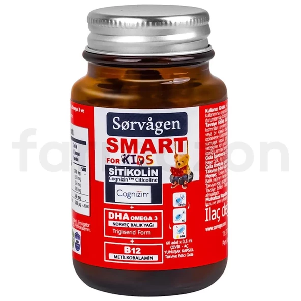 Sorvagen Smart For Kids Sitikolin DHA Omega 3 Norveç Balık Yağı B12- 60 Kapsül-SKT:10/2027