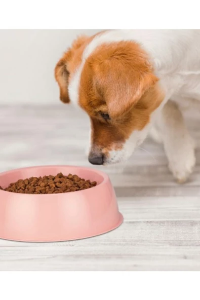 Lüx Kedi Köpek Mama Ve Su Kabı - Resim 6