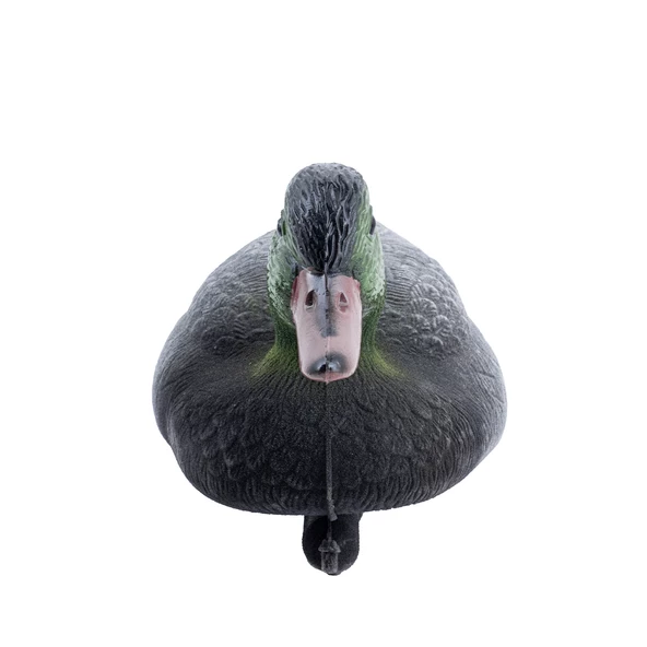 Tüylü Yeşil Baş Ördek - HD 020R - Resim 5