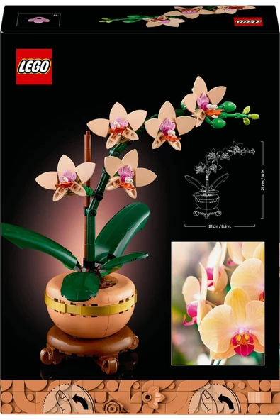 ® Botanicals Mini Orkide 10343 - Yetişkinler için Dekoratif Çiçek Yapım Seti (274 Parça) - 4