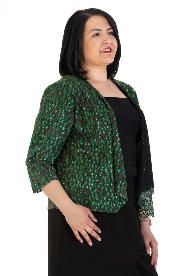 Fierte Kadın Büyük Beden Hırka Nly3538 Yakasız Salaş Truvakar Kol Kısa Mevsimlik Taş Sim Kombin Siyah Yeşil Gümüş - 2