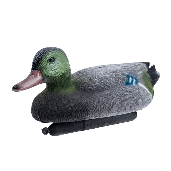 Tüylü Yeşil Baş Ördek - HD 020R - Resim 6