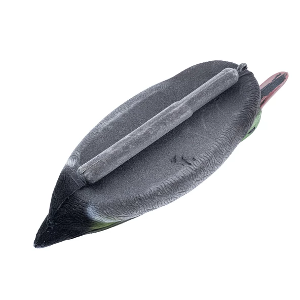 Tüylü Yeşil Baş Ördek - HD 020R - Resim 2