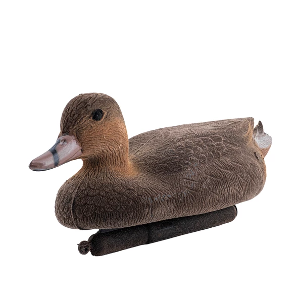 DD.21 Kılkuyruk Ördek Mühresi Erkek+Dişi - Resim 6