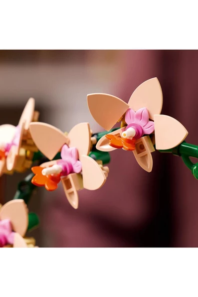® Botanicals Mini Orkide 10343 - Yetişkinler için Dekoratif Çiçek Yapım Seti (274 Parça) - 5
