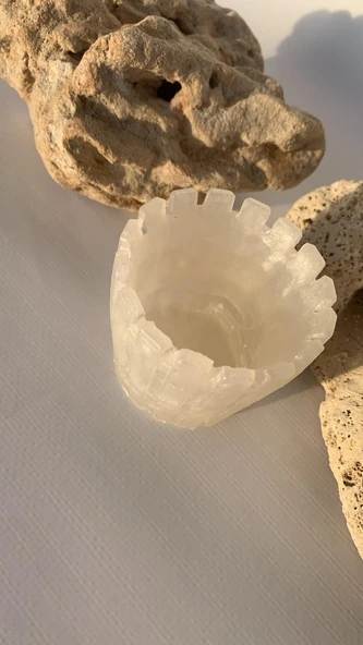 Parlak Sedefli Beyaz Renkli Tırtıklı Sukulent Epoksi Saksı El Yapımı Hediyelik - 3