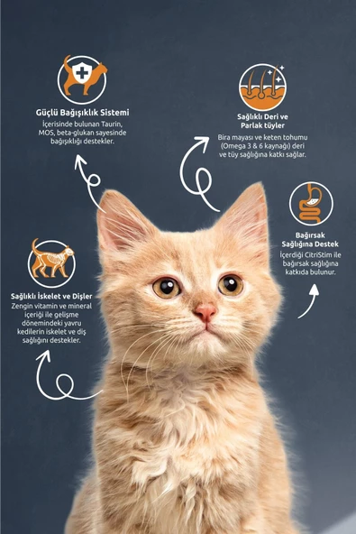 Kitten Tavuklu Ve Pirinçli Yavru Kedi Maması 2 Kg - 2