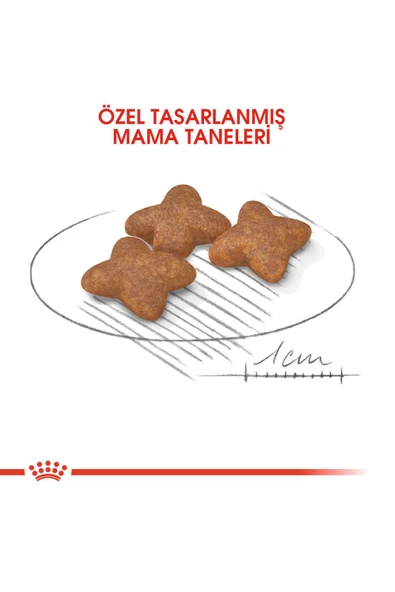 Mini Yetişkin Köpek Maması 2 Kg - 4
