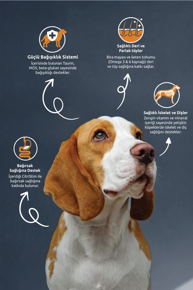 Kuzu Etli Köpek Maması 15 Kg - 2