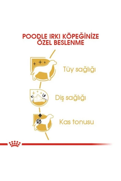 Poodle Yetişkin Köpek Maması 3kg - 4