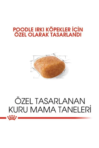 Poodle Yetişkin Köpek Maması 3kg - 7